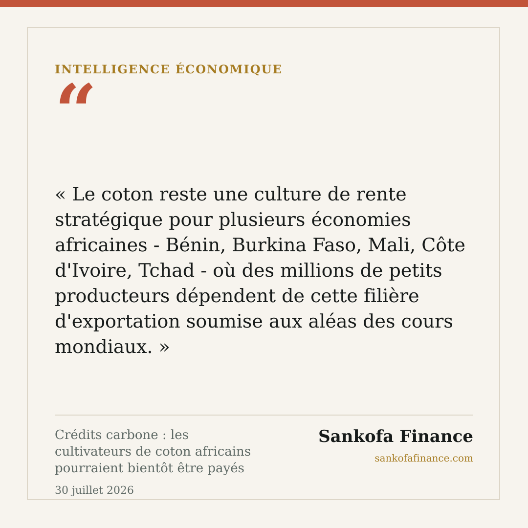 Crédits carbone : les cultivateurs de coton africains pourraient bientôt être payés deux fois