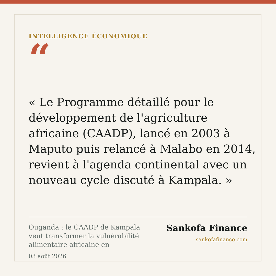 Ouganda : le CAADP de Kampala veut transformer la vulnérabilité alimentaire africaine en opportunité d'investissement