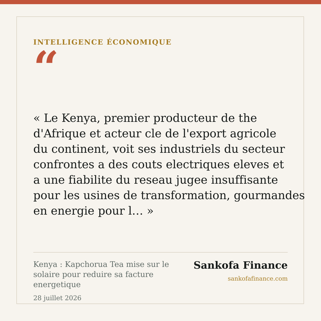 Kenya : Kapchorua Tea mise sur le solaire pour reduire sa facture energetique